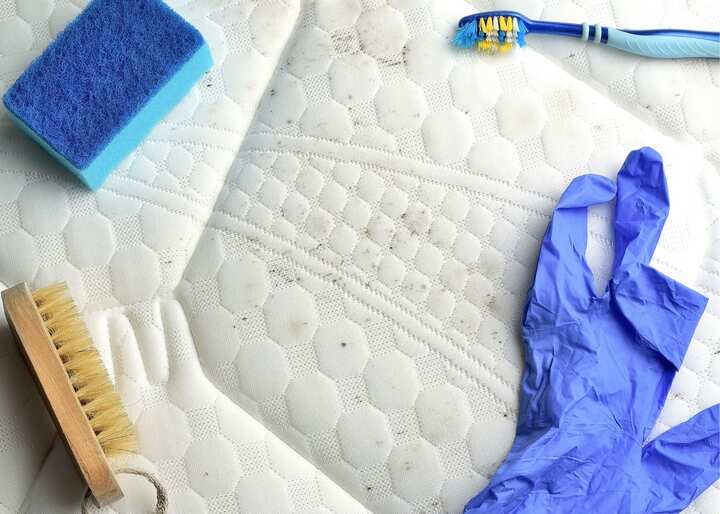 mold remediation greensboro nc