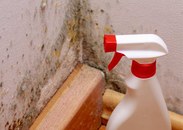 mold remediation greensboro nc