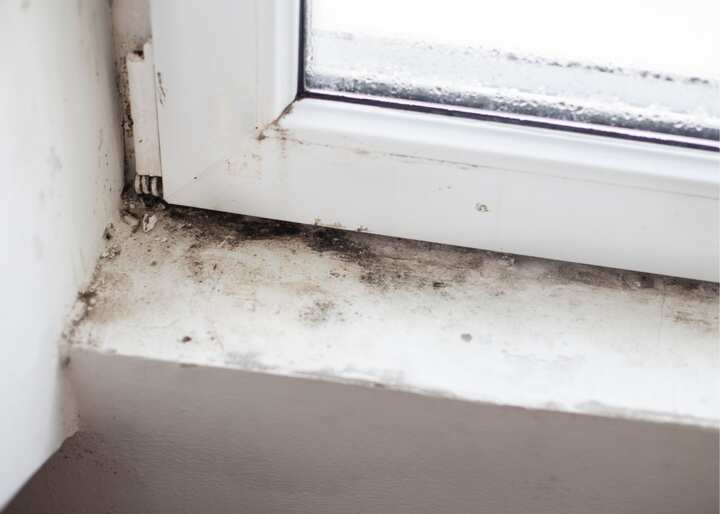 mold remediation greensboro nc