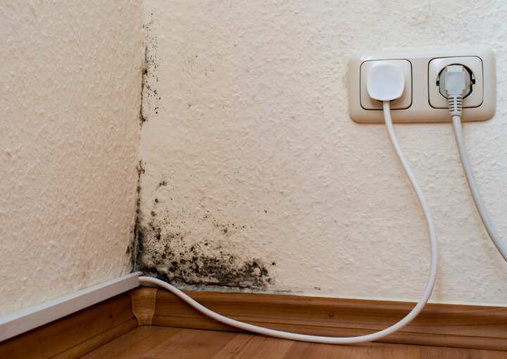 mold remediation greensboro nc