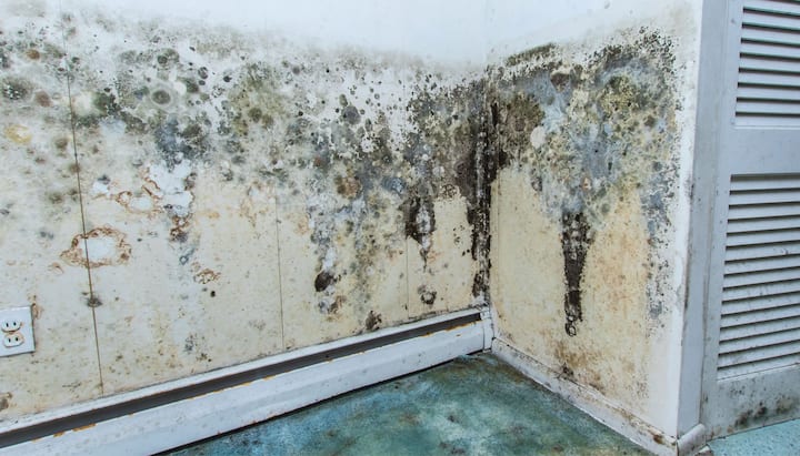 Professional mold removal, odor control, and water damage restoration service in Greensboro, North Carolina.