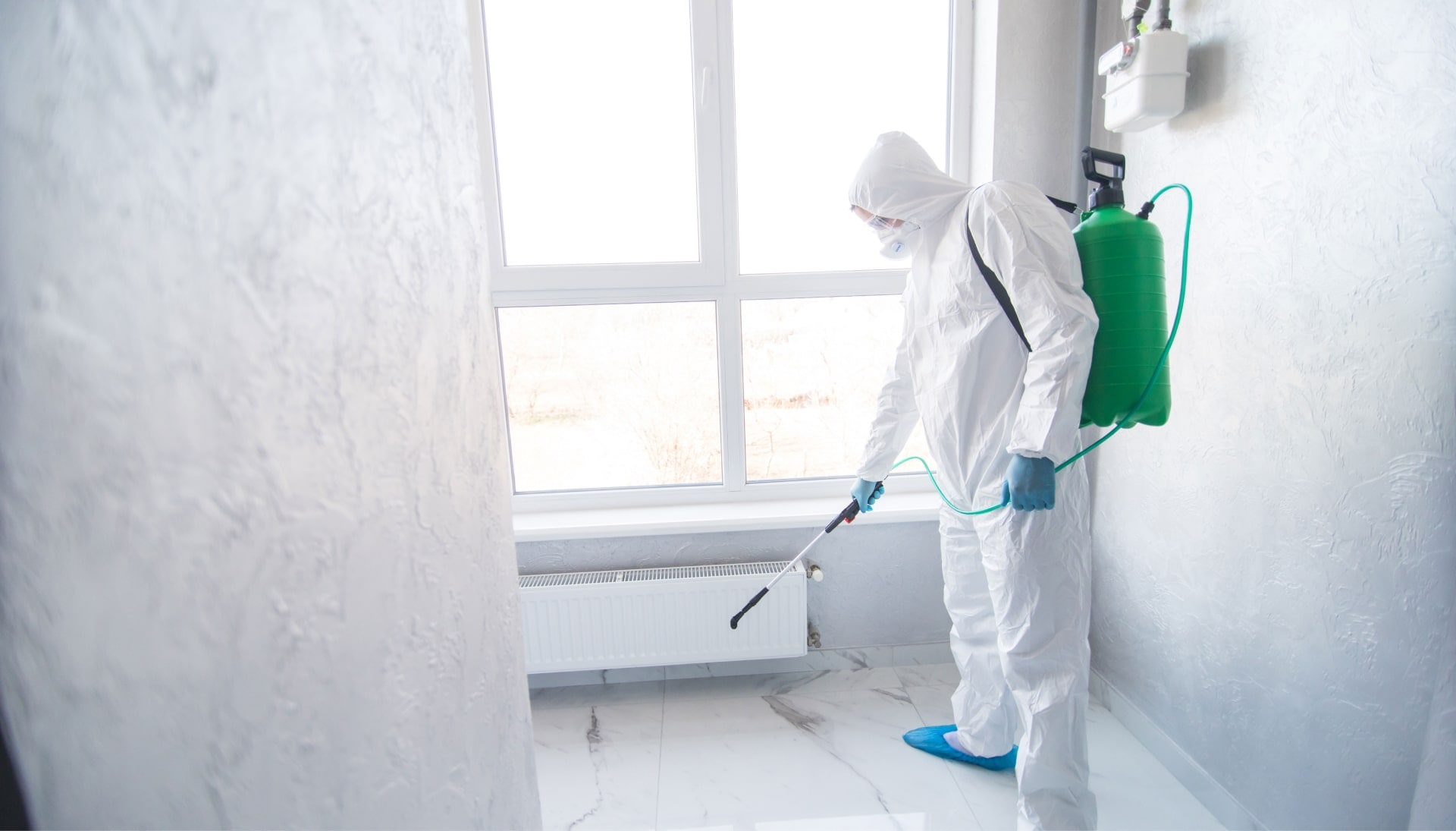 We provide the highest-quality mold inspection, testing, and removal services in the Greensboro, North Carolina area.